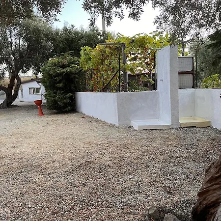 公寓 Il Pantheon - Zeus