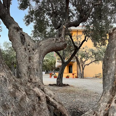 Il Pantheon - Zeus Apartamento *